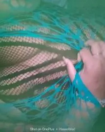 Michelle , (801) 436-7133, Provo, Verified Independent Escort 