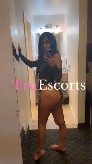 Alexis , (206) 776-5854, Bellingham, Bellingham - Verified Independent Escort | Tru Escorts