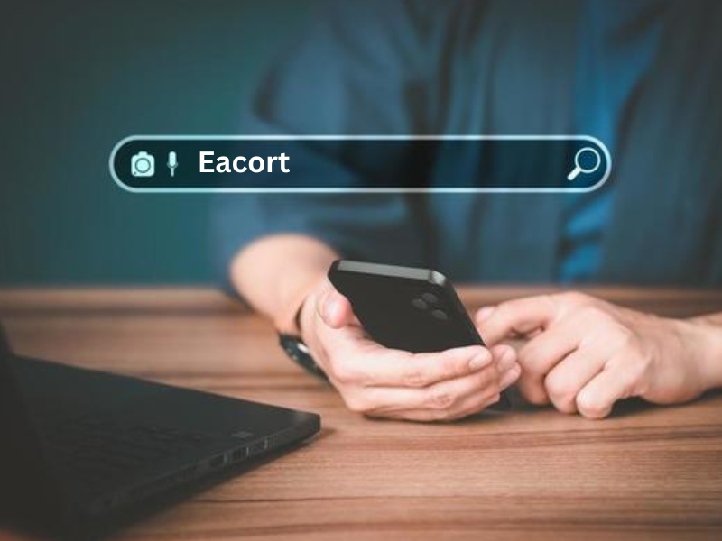 Search bar with escort keyword typo being corrected